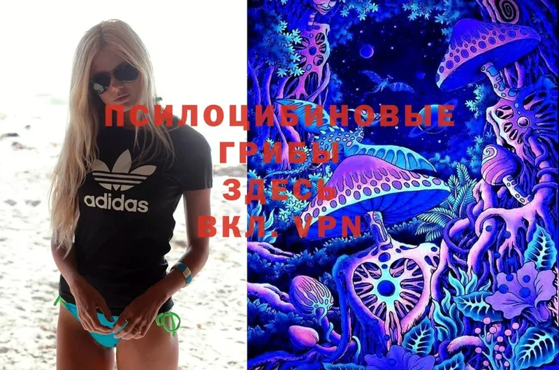 Псилоцибиновые грибы MAGIC MUSHROOMS  где можно купить наркотик  Петропавловск-Камчатский 